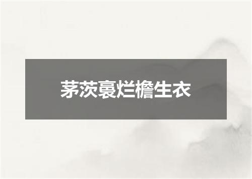 茅茨裛烂檐生衣