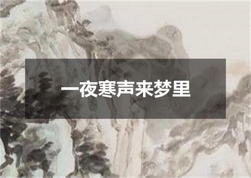 一夜寒声来梦里