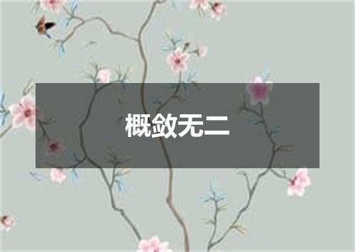 概敛无二