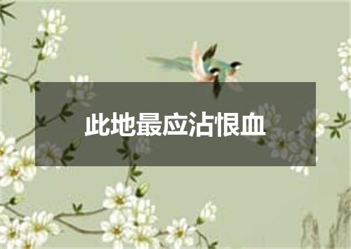 此地最应沾恨血