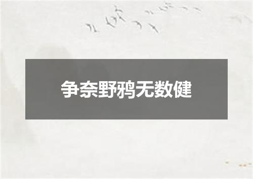 争奈野鸦无数健