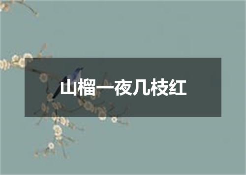 山榴一夜几枝红