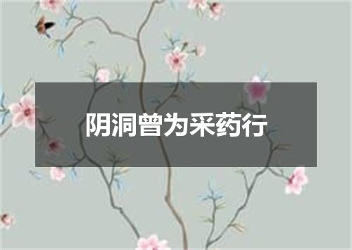 阴洞曾为采药行