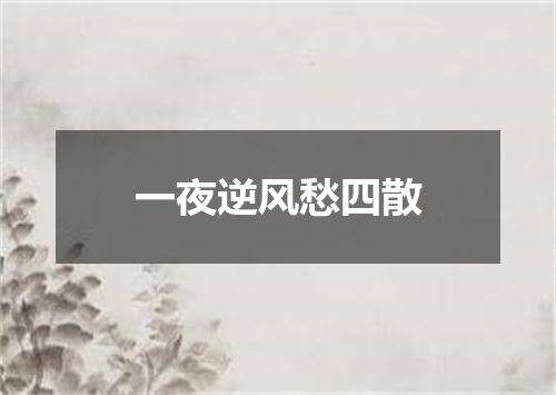 一夜逆风愁四散