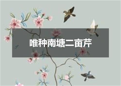 唯种南塘二亩芹