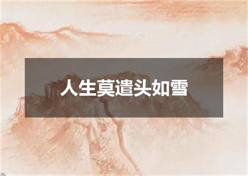 人生莫遣头如雪