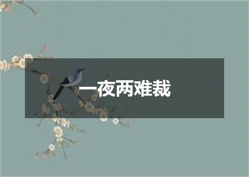 一夜两难裁