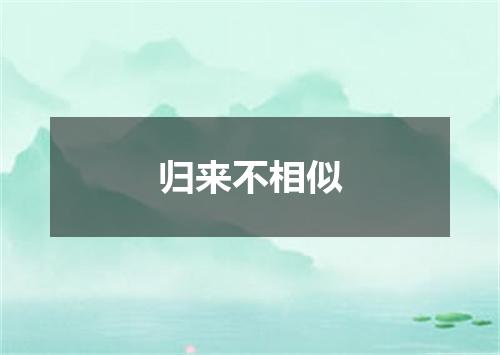 归来不相似