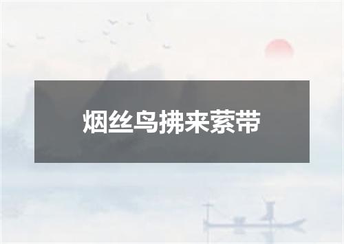 烟丝鸟拂来萦带