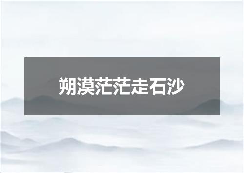 朔漠茫茫走石沙