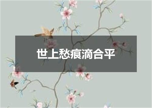 世上愁痕滴合平