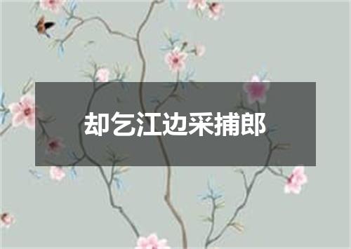 却乞江边采捕郎