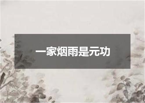 一家烟雨是元功