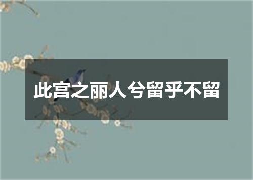 此宫之丽人兮留乎不留
