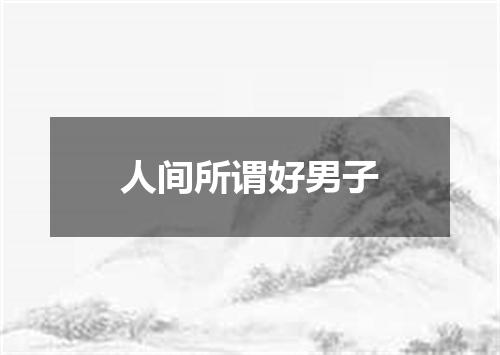 人间所谓好男子