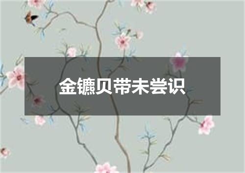 金镳贝带未尝识