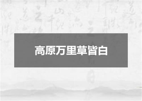 高原万里草皆白