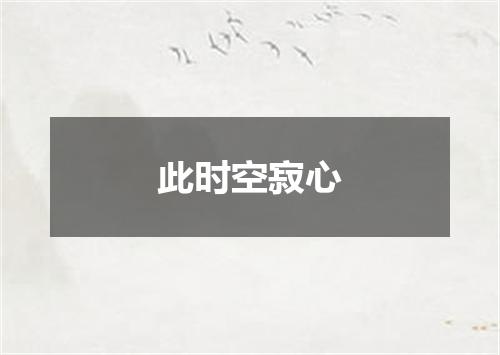 此时空寂心
