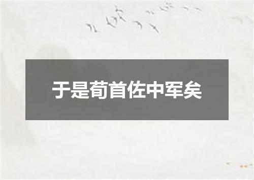 于是荀首佐中军矣
