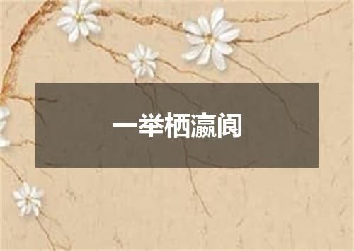 一举栖瀛阆