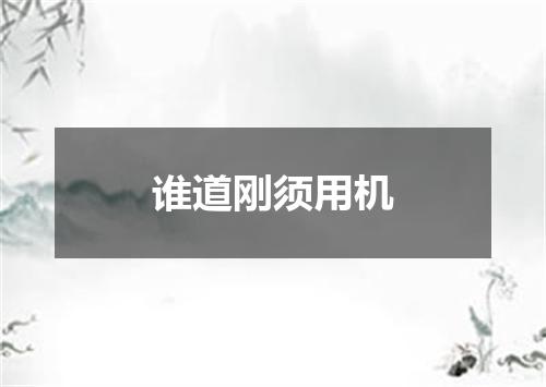 谁道刚须用机