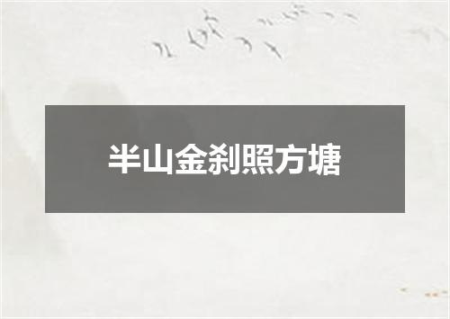 半山金刹照方塘