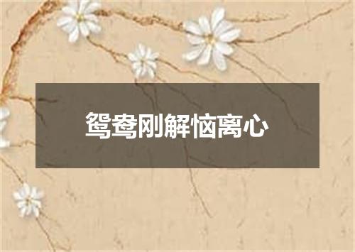 鸳鸯刚解恼离心