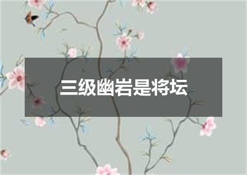 三级幽岩是将坛