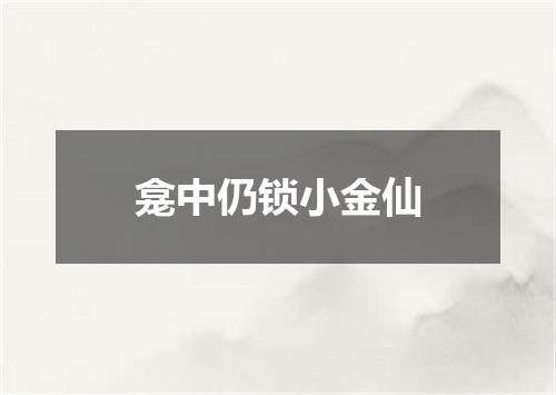 龛中仍锁小金仙
