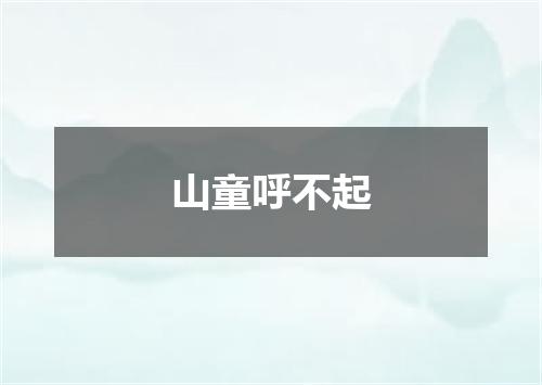 山童呼不起