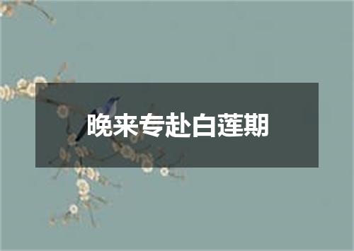 晚来专赴白莲期