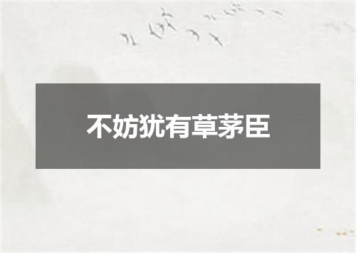 不妨犹有草茅臣