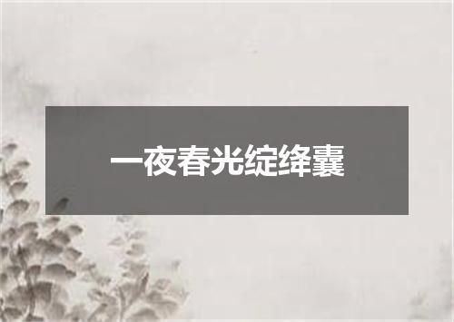 一夜春光绽绛囊