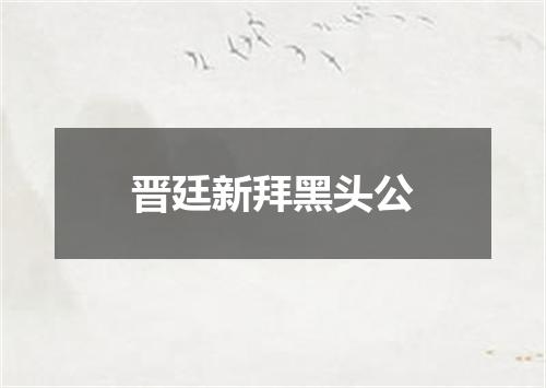 晋廷新拜黑头公