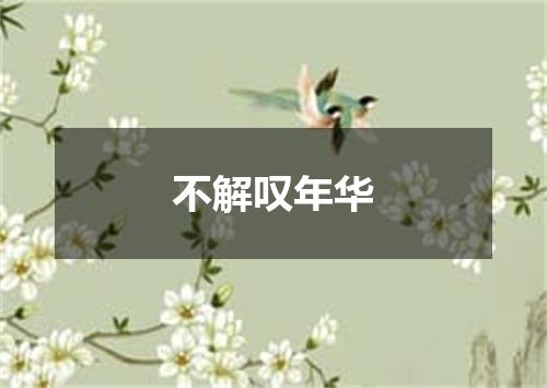 不解叹年华