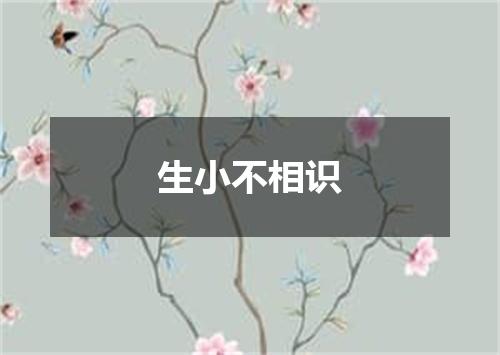 生小不相识