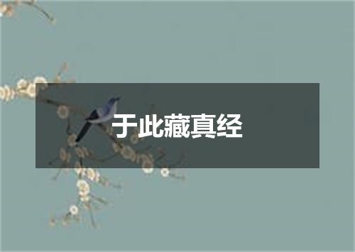 于此藏真经