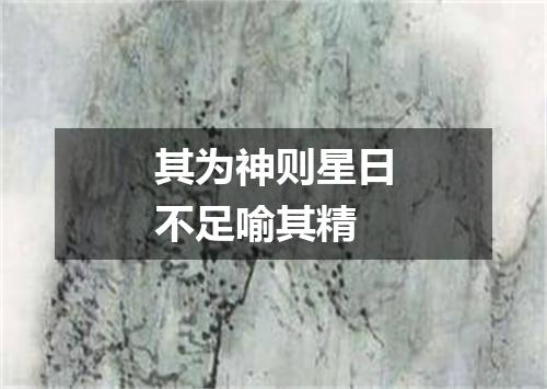 其为神则星日不足喻其精