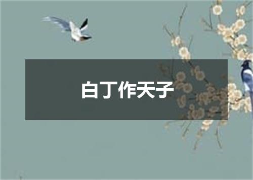白丁作天子