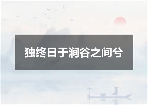 独终日于涧谷之间兮