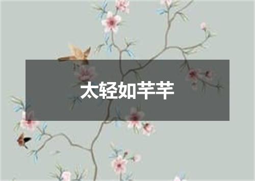 太轻如芊芊