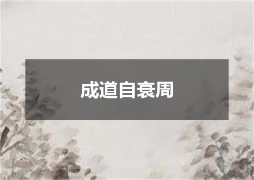 成道自衰周