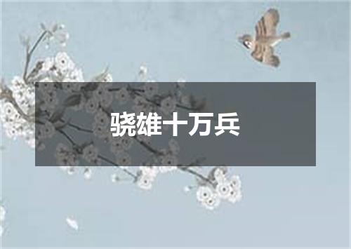 骁雄十万兵