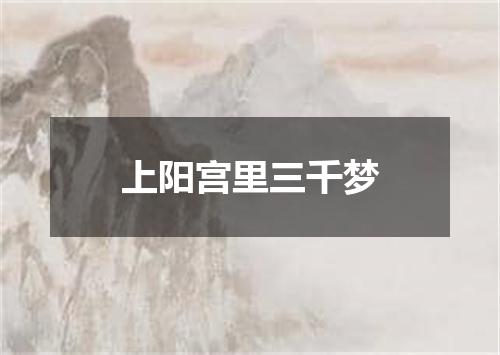上阳宫里三千梦