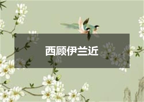 西顾伊兰近