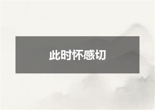 此时怀感切