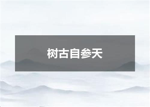 树古自参天