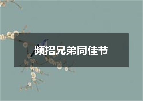 频招兄弟同佳节