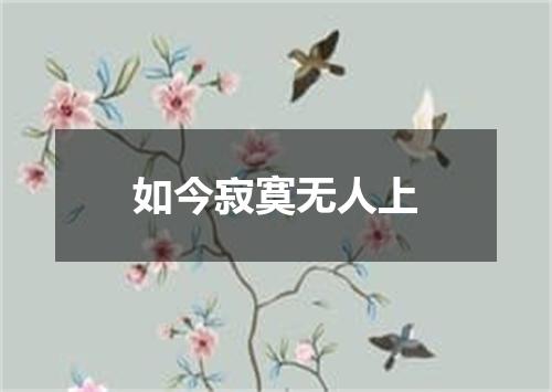 如今寂寞无人上