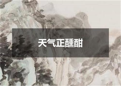 天气正醺酣